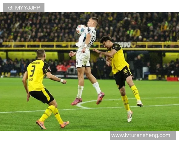 霍芬海姆德甲联赛亮点：全队表现出色，掀起胜利之风